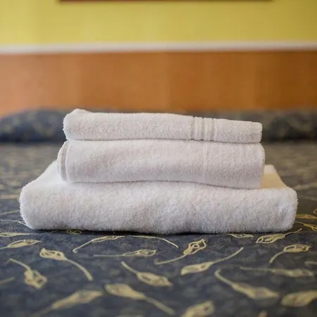 酒店 Benacus 巴多利诺