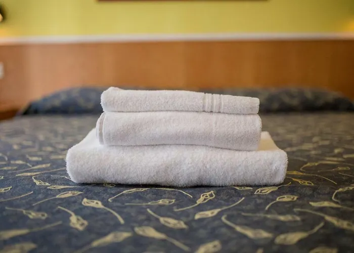 Hotel Benacus Bardolino